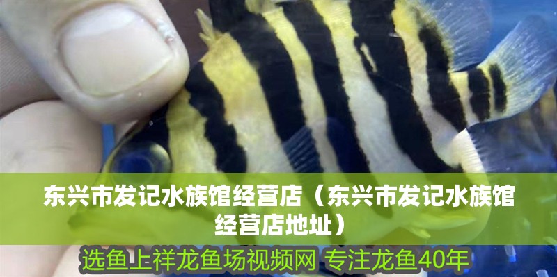 東興市發(fā)記水族館經(jīng)營(yíng)店（東興市發(fā)記水族館經(jīng)營(yíng)店地址）