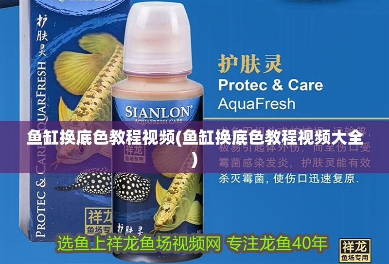 魚缸換底色教程視頻(魚缸換底色教程視頻大全)