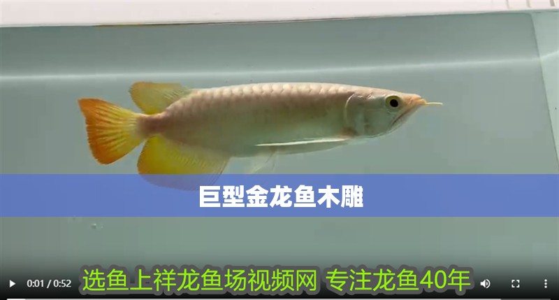巨型金龍魚木雕