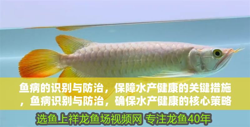 魚病的識別與防治，保障水產健康的關鍵措施，魚病識別與防治，確保水產健康的核心策略