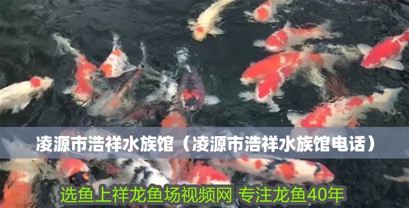 凌源市浩祥水族館（凌源市浩祥水族館電話）