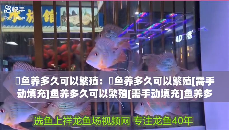 魟魚養多久可以繁殖：魟魚養多久可以繁殖[需手動填充]魚養多久可以繁殖[需手動填充]魚養多久可以繁殖 魟魚養多久可以繁殖：魟魚養多久可以繁殖[需手動填充]魚養多久可以繁殖[需手動填充]魚養多久可以繁殖 魟魚百科 第2張