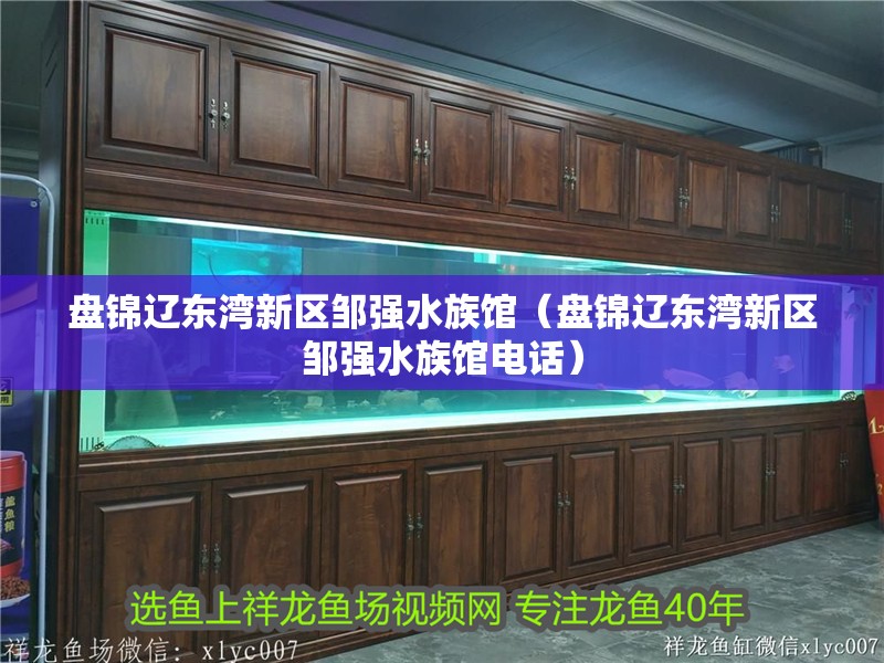 盤錦遼東灣新區鄒強水族館（盤錦遼東灣新區鄒強水族館電話） 盤錦遼東灣新區鄒強水族館（盤錦遼東灣新區鄒強水族館電話） 全國水族館企業名錄 第2張