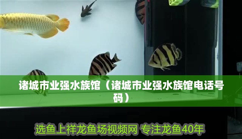 諸城市業(yè)強(qiáng)水族館(諸城市業(yè)強(qiáng)水族館電話號(hào)碼) 全國水族館企業(yè)名錄 第2張 諸城市業(yè)強(qiáng)水族館(諸城市業(yè)強(qiáng)水族館電話號(hào)碼) 諸城市業(yè)強(qiáng)水族館(諸城市業(yè)強(qiáng)水族館電話號(hào)碼) 全國水族館企業(yè)名錄 第2張