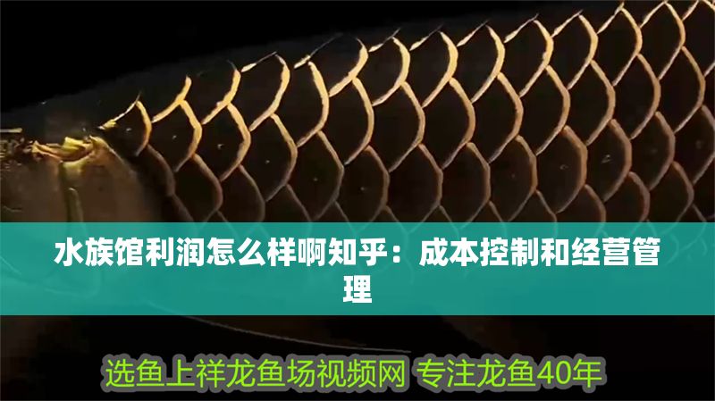 水族館利潤怎么樣啊知乎：成本控制和經營管理