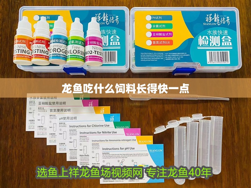 龍魚吃什么飼料長得快一點 龍魚吃什么飼料長得快一點 龍魚百科 第2張