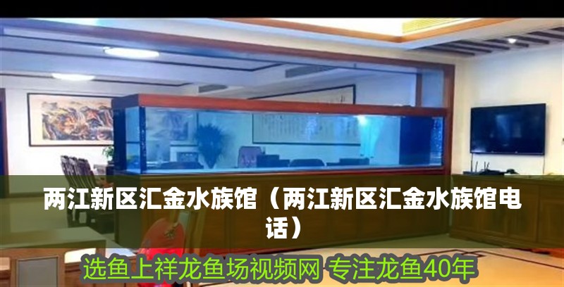 兩江新區匯金水族館(兩江新區匯金水族館電話) 全國水族館企業名錄 第2張 兩江新區匯金水族館(兩江新區匯金水族館電話) 兩江新區匯金水族館(兩江新區匯金水族館電話) 全國水族館企業名錄 第2張