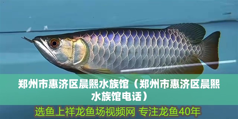 鄭州市惠濟區晨熙水族館（鄭州市惠濟區晨熙水族館電話） 鄭州市惠濟區晨熙水族館（鄭州市惠濟區晨熙水族館電話） 全國水族館企業名錄 第2張