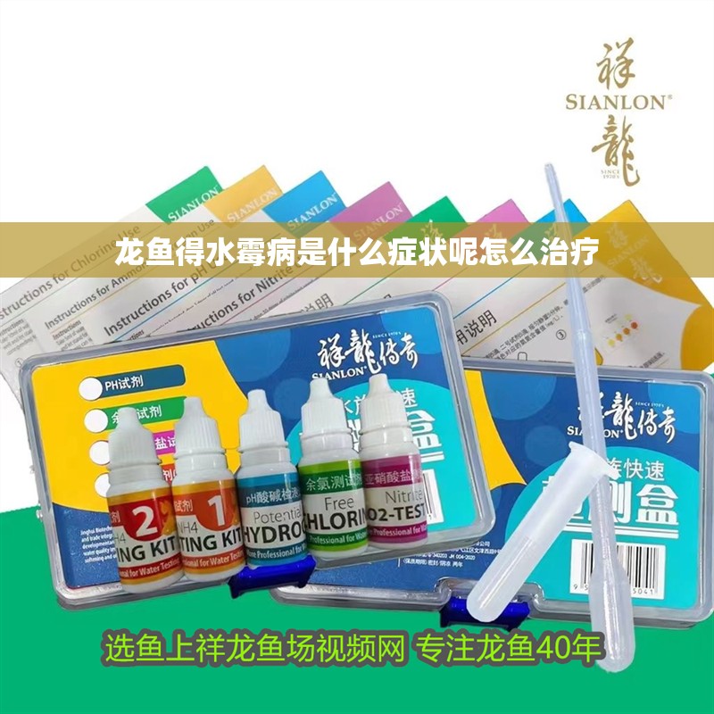 龍魚得水霉病是什么癥狀呢怎么治療