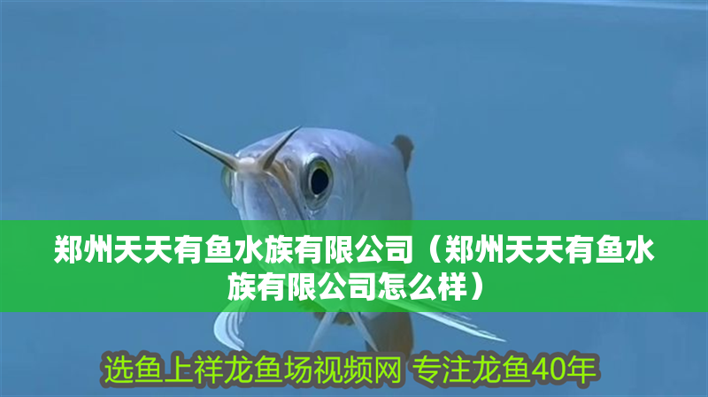 鄭州天天有魚水族有限公司（鄭州天天有魚水族有限公司怎么樣） 鄭州天天有魚水族有限公司（鄭州天天有魚水族有限公司怎么樣） 全國水族館企業名錄 第2張