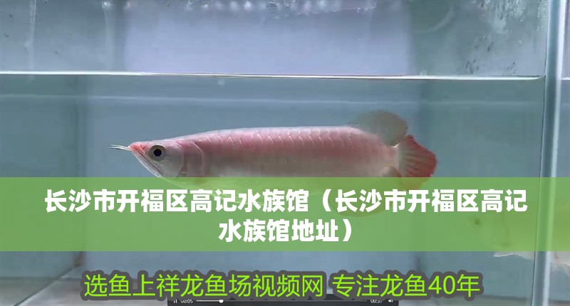 長沙市開福區(qū)高記水族館（長沙市開福區(qū)高記水族館地址）