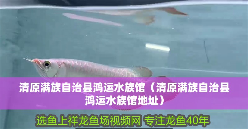 清原滿族自治縣鴻運水族館（清原滿族自治縣鴻運水族館地址）