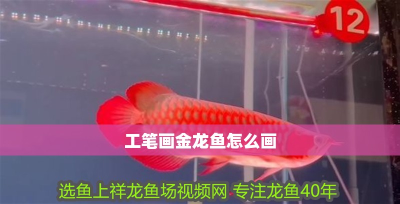 工筆畫金龍魚怎么畫