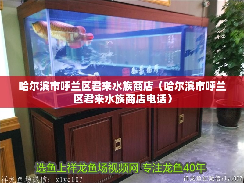 哈爾濱市呼蘭區君來水族商店(哈爾濱市呼蘭區君來水族商店電話) 全國水族館企業名錄 第2張 哈爾濱市呼蘭區君來水族商店(哈爾濱市呼蘭區君來水族商店電話) 哈爾濱市呼蘭區君來水族商店(哈爾濱市呼蘭區君來水族商店電話) 全國水族館企業名錄 第2張