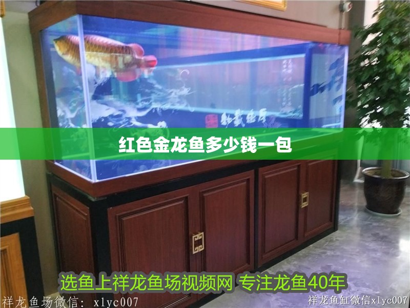 紅色金龍魚多少錢一包