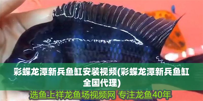 彩蝶龍潭新兵魚缸安裝視頻(彩蝶龍潭新兵魚缸全國代理) 彩蝶龍潭新兵魚缸安裝視頻(彩蝶龍潭新兵魚缸全國代理) 黃金貓魚百科 第1張