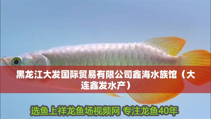 黑龍江大發(fā)國際貿(mào)易有限公司鑫海水族館（大連鑫發(fā)水產(chǎn)）