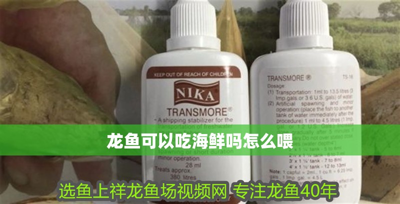 龍魚可以吃海鮮嗎怎么喂