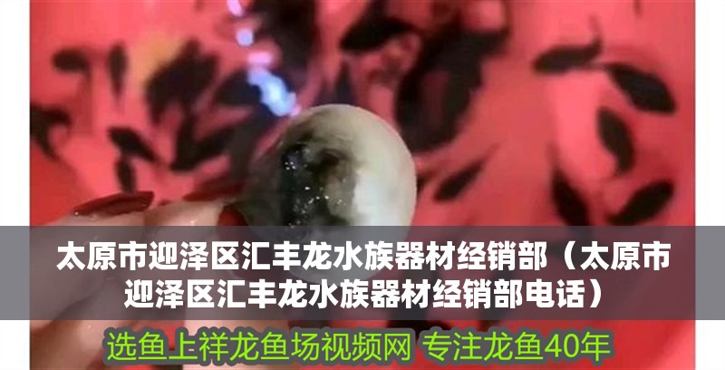 太原市迎澤區匯豐龍水族器材經銷部（太原市迎澤區匯豐龍水族器材經銷部電話） 太原市迎澤區匯豐龍水族器材經銷部（太原市迎澤區匯豐龍水族器材經銷部電話） 全國水族館企業名錄 第2張