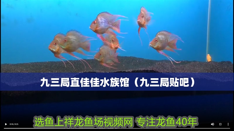 九三局直佳佳水族館（九三局貼吧）