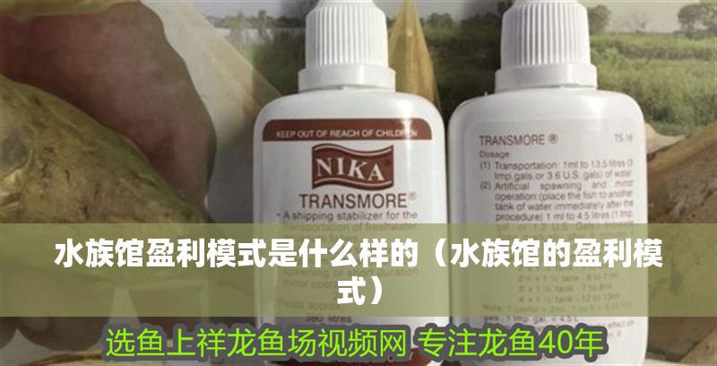水族館盈利模式是什么樣的（水族館的盈利模式）