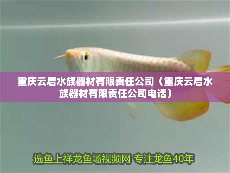 重慶云啟水族器材有限責任公司（重慶云啟水族器材有限責任公司電話）
