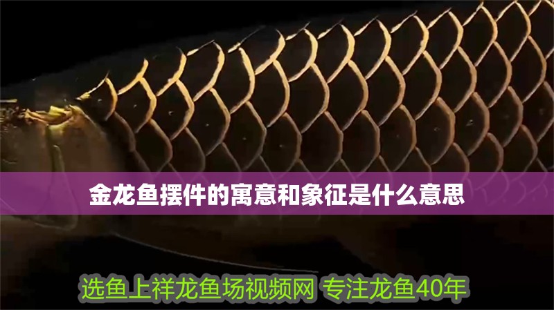 金龍魚擺件的寓意和象征是什么意思