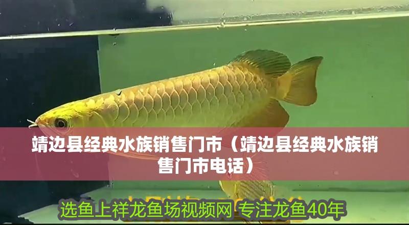 靖邊縣經典水族銷售門市（靖邊縣經典水族銷售門市電話）