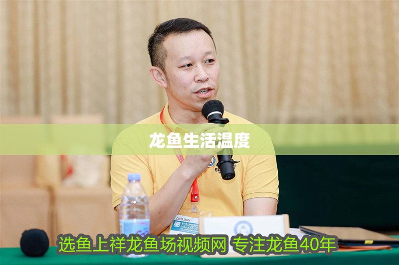 龍魚生活溫度