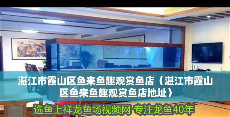 湛江市霞山區(qū)魚(yú)來(lái)魚(yú)趣觀賞魚(yú)店（湛江市霞山區(qū)魚(yú)來(lái)魚(yú)趣觀賞魚(yú)店地址）