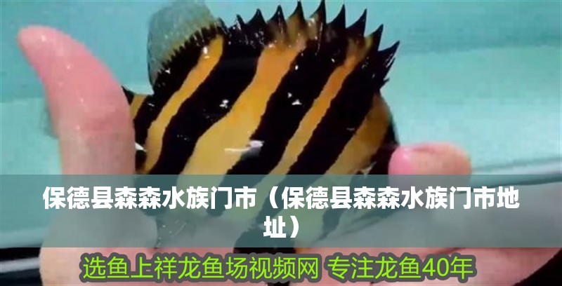 保德縣森森水族門市（保德縣森森水族門市地址） 保德縣森森水族門市（保德縣森森水族門市地址） 全國(guó)水族館企業(yè)名錄 第2張
