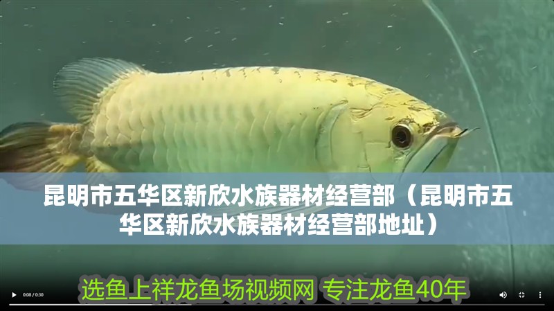 昆明市五華區新欣水族器材經營部（昆明市五華區新欣水族器材經營部地址） 昆明市五華區新欣水族器材經營部（昆明市五華區新欣水族器材經營部地址） 全國水族館企業名錄 第2張