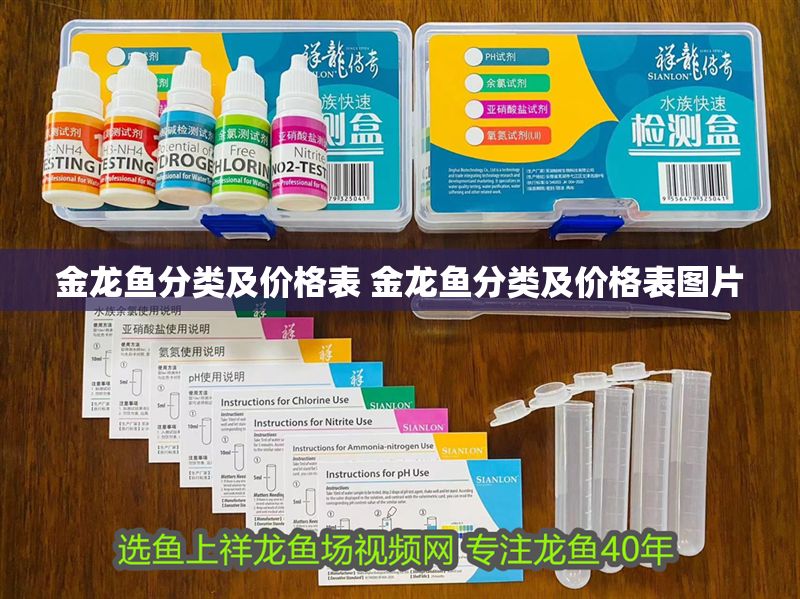 金龍魚分類及價格表 金龍魚分類及價格表圖片