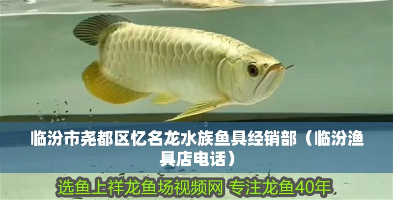 臨汾市堯都區(qū)憶名龍水族魚具經(jīng)銷部（臨汾漁具店電話）