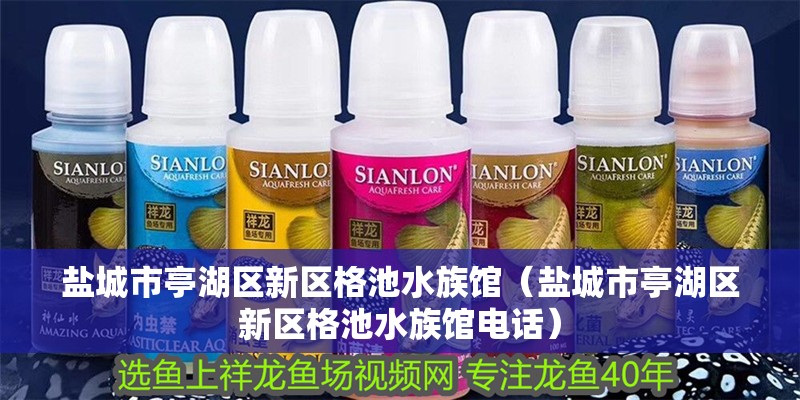 鹽城市亭湖區新區格池水族館（鹽城市亭湖區新區格池水族館電話） 鹽城市亭湖區新區格池水族館（鹽城市亭湖區新區格池水族館電話） 全國水族館企業名錄 第2張