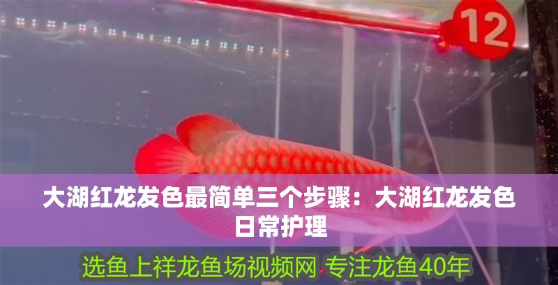 詳細(xì)閱讀:大湖紅龍發(fā)色最簡(jiǎn)單三個(gè)步驟:大湖紅龍發(fā)色日常護(hù)理 大湖紅龍發(fā)色最簡(jiǎn)單三個(gè)步驟:大湖紅龍發(fā)色日常護(hù)理