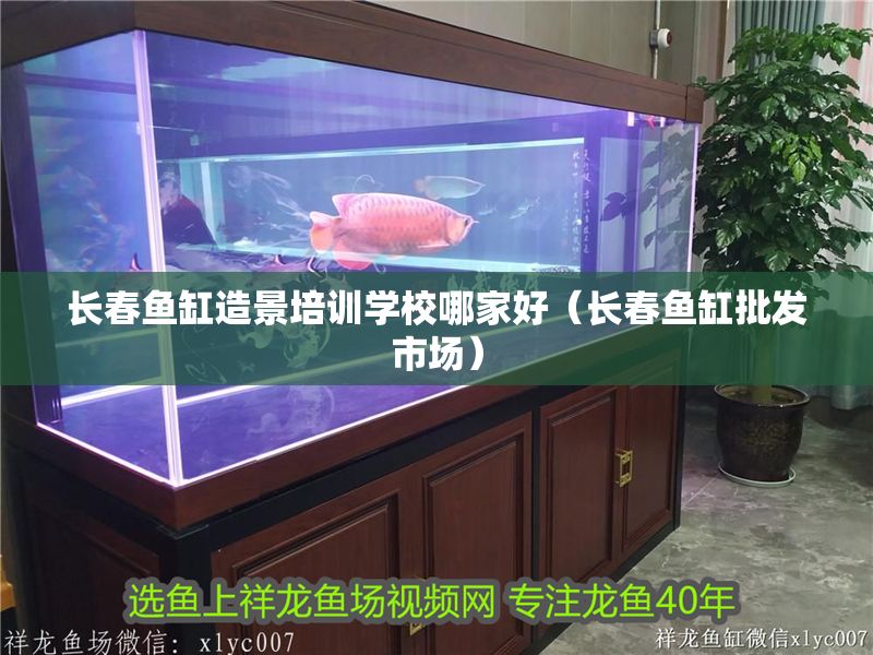 長春魚缸造景培訓學校哪家好（長春魚缸批發市場）