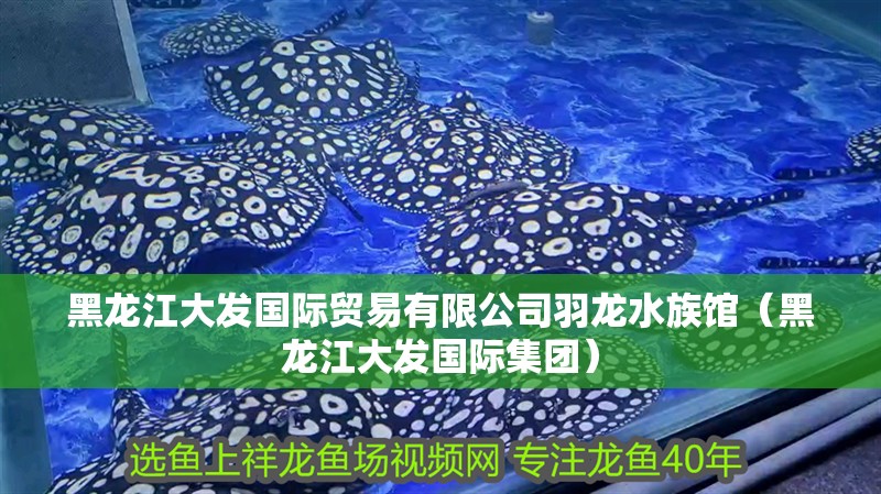 黑龍江大發國際貿易有限公司羽龍水族館（黑龍江大發國際集團）