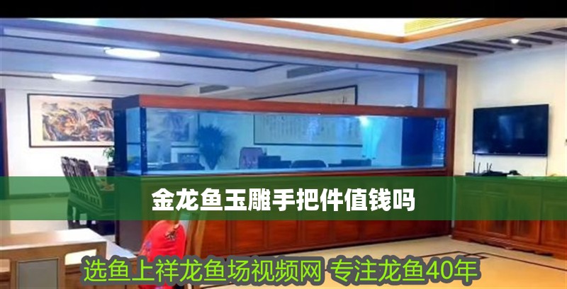 金龍魚玉雕手把件值錢嗎