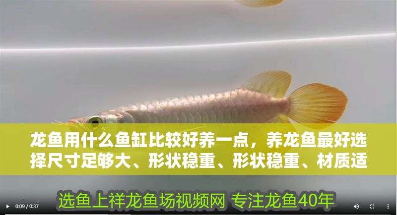 龍魚用什么魚缸比較好養一點，養龍魚最好選擇尺寸足夠大、形狀穩重、形狀穩重、材質適合定制