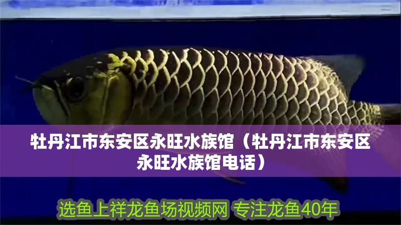 牡丹江市東安區永旺水族館（牡丹江市東安區永旺水族館電話）