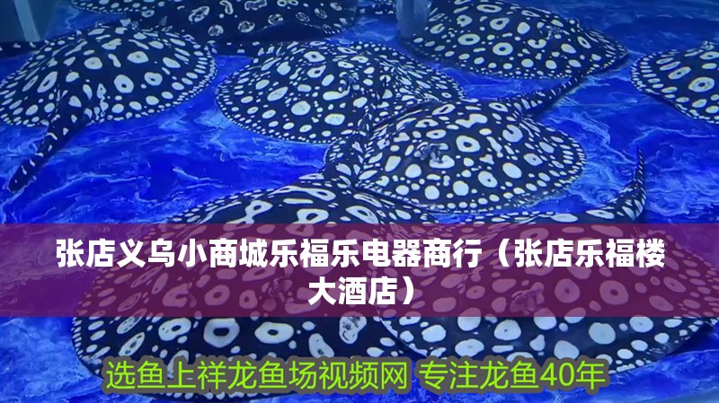 張店義烏小商城樂福樂電器商行（張店樂福樓大酒店） 張店義烏小商城樂福樂電器商行（張店樂福樓大酒店） 全國水族館企業名錄 第2張