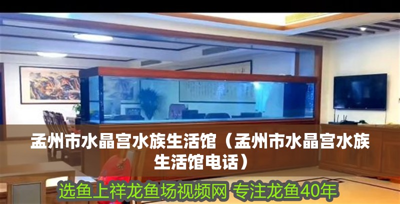 孟州市水晶宮水族生活館(孟州市水晶宮水族生活館電話) 全國水族館企業名錄 第2張 孟州市水晶宮水族生活館(孟州市水晶宮水族生活館電話) 孟州市水晶宮水族生活館(孟州市水晶宮水族生活館電話) 全國水族館企業名錄 第2張