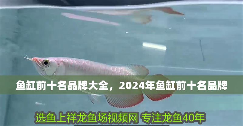 魚缸前十名品牌大全，2024年魚缸前十名品牌