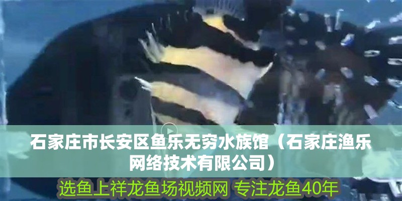 石家莊市長安區魚樂無窮水族館（石家莊漁樂網絡技術有限公司）