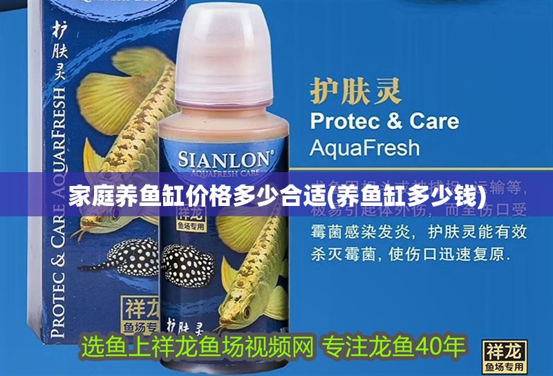 家庭養魚缸價格多少合適(養魚缸多少錢)