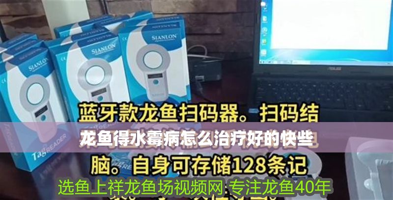 龍魚得水霉病怎么治療好的快些