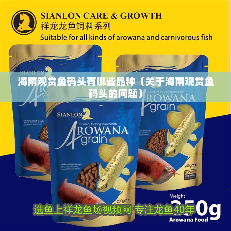 海南觀賞魚碼頭有哪些品種（關于海南觀賞魚碼頭的問題）