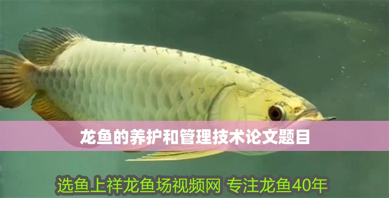 龍魚(yú)的養(yǎng)護(hù)和管理技術(shù)論文題目