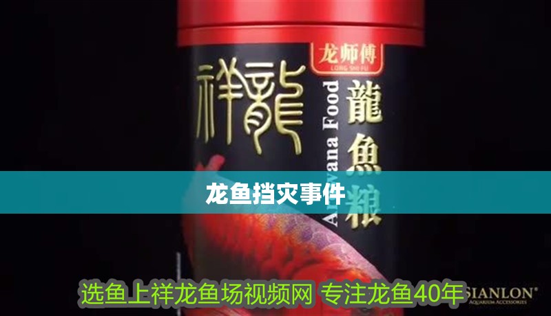 龍魚擋災(zāi)事件
